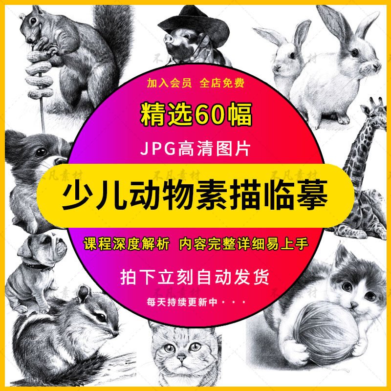 少儿童画室创意素材动物素描猫咪学习范画高清图片精致打印电子版