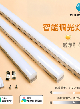智能T5T8日光LED灯管支持米家APP控制小爱语音调光调色条带家照明
