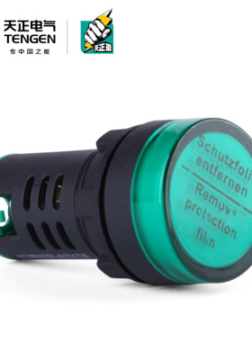 TENGEN天正 TGAD56-22D/S指示灯信号灯警示灯黄绿白蓝红220V 22孔