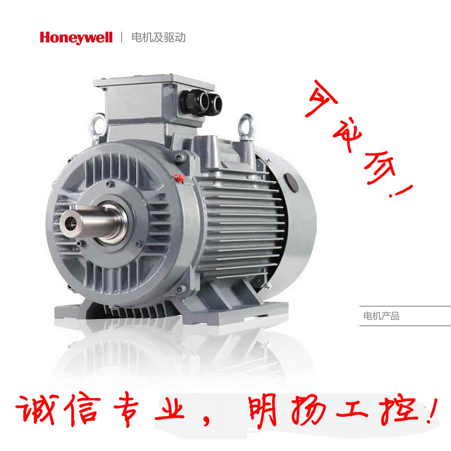 霍尼韦尔电机 HME4-200LA8-GS; 15KW; 735r/min; 8P IE4