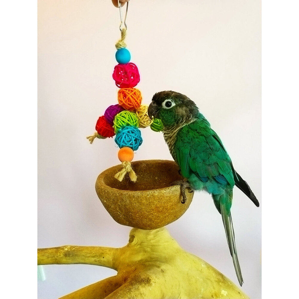 店主推荐鹦鹉啃咬玩具藤球塔啃咬串牡丹玄凤虎皮宠物鸟用具用品,宠物/宠物食品及用品,鸟玩具,淘宝优惠券,粉丝福利购,淘宝优惠卷