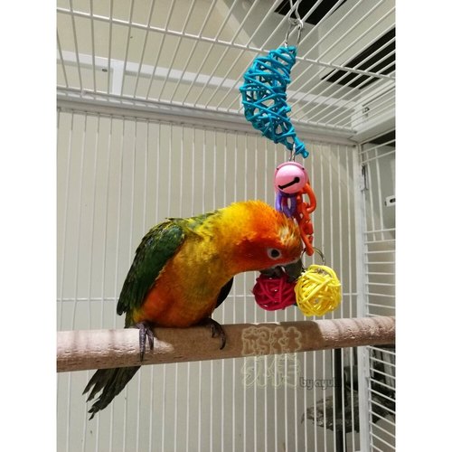 鹉林外传益智鹦鹉玩具啃咬解闷