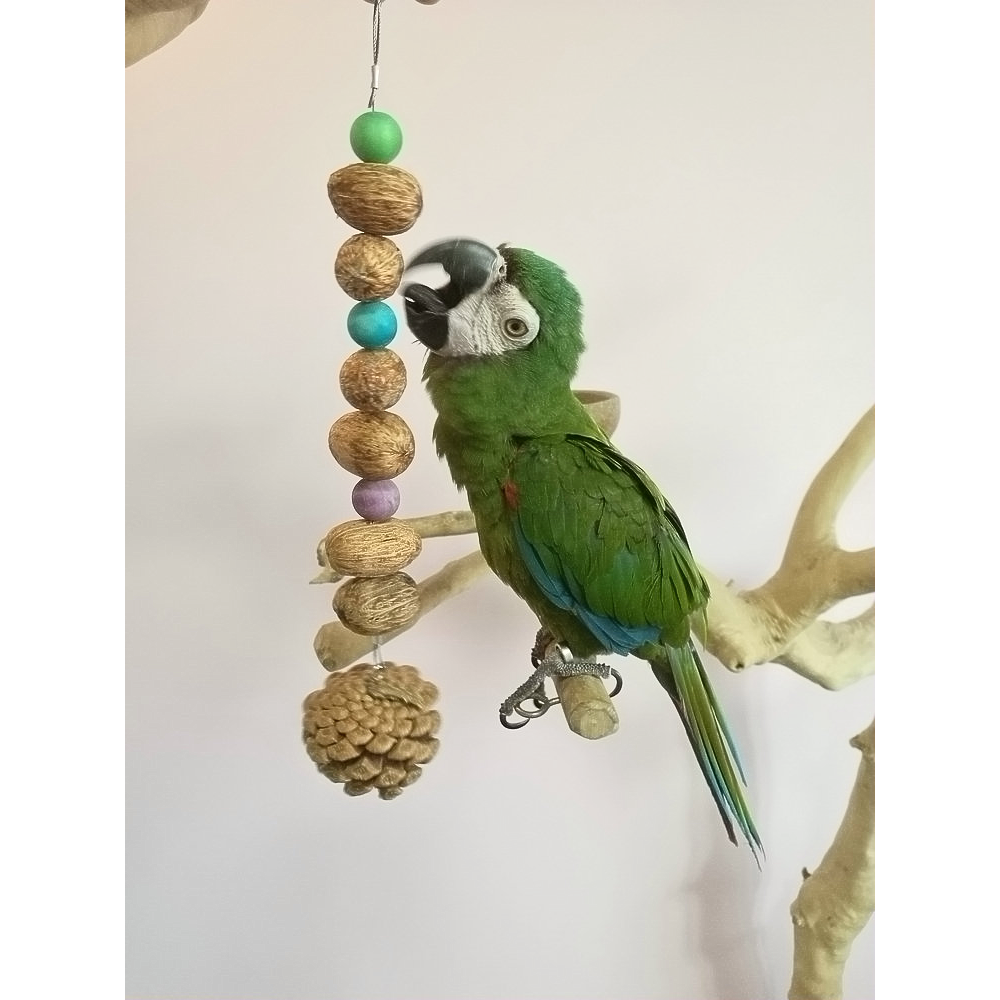热销鹦鹉用品用具果串松果啃咬串玄凤牡丹磨嘴啃咬玩具缓解咬毛,宠物/宠物食品及用品,鸟玩具,淘宝优惠券,粉丝福利购,淘宝优惠卷