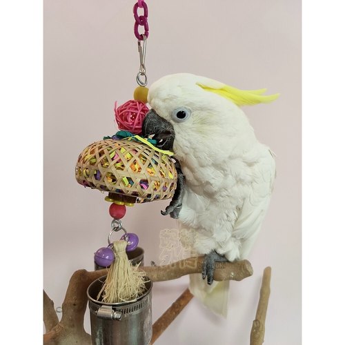 鹉林外传益智鹦鹉玩具啃咬解闷