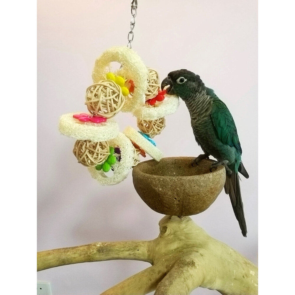 鹦鹉用品丝瓜络藤球手抓啃咬玩具藤圈鸟笼用品用具配件站棒站架,宠物/宠物食品及用品,鸟玩具,淘宝优惠券,粉丝福利购,淘宝优惠卷