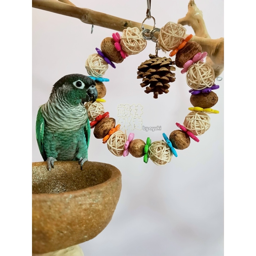新品推荐鹦鹉秋千玩具藤球果子