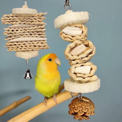 鹉林外传益智鹦鹉玩具啃咬解闷