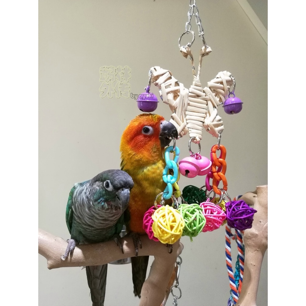 鹉林外传益智鹦鹉玩具啃咬解闷