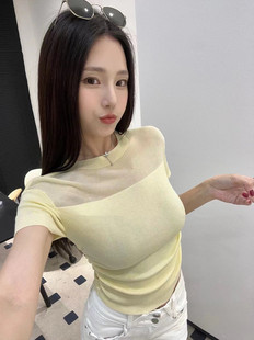 设计感冰丝针织上衣 新款 2024SS纯欲风辣妹网纱拼接短袖 t恤女夏季