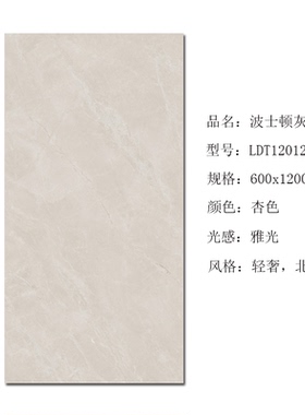 唯美LD瓷砖600x1200地砖 波士顿灰LSH12396R-X  LDT12012YP-M