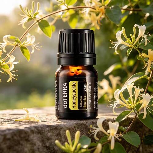 正品多特瑞doTERRA忍冬花精油美国精油2.5ml