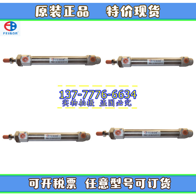 台湾FEIBOR迷你气缸FBMB-11-20/25/32/40-25-50-75-100-300-A-N/E
