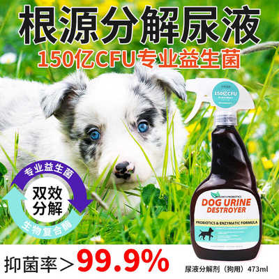 湃特安琪儿除臭剂尿液清洗厕所