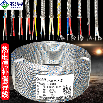 K型热电偶补偿导线J型E型T型延长屏蔽耐高温测温线PT100感温线