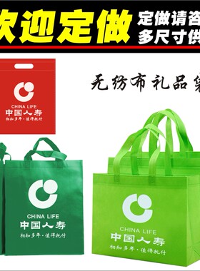 中国人寿无纺布保险单会议手提袋