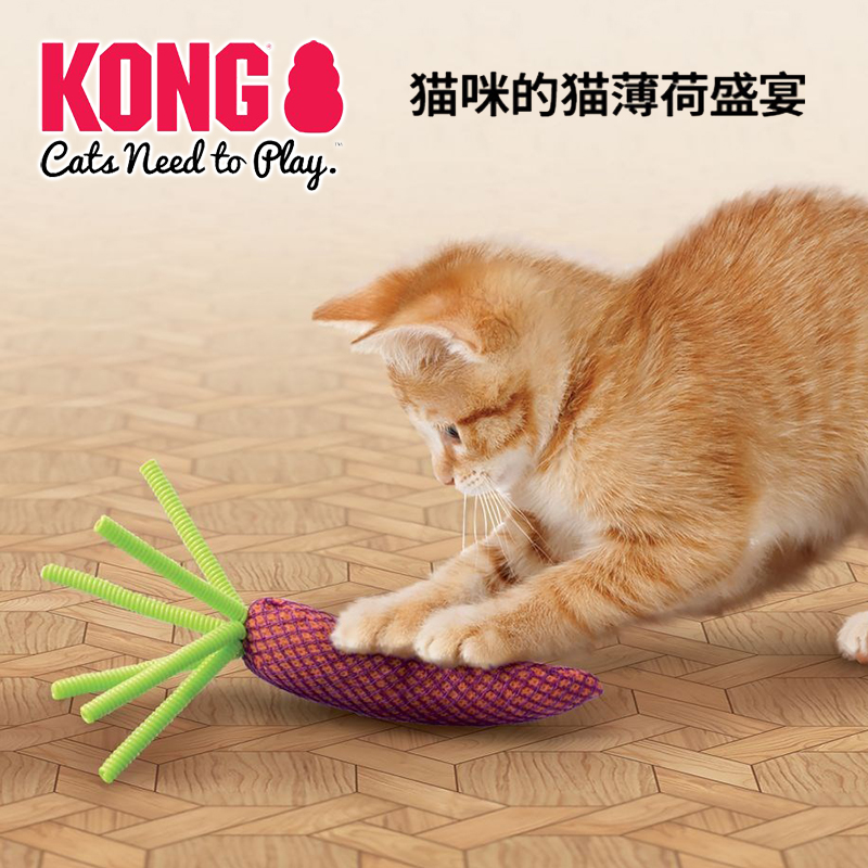 美国KONG网眼胡萝卜猫薄荷猫草逗猫玩具猫咪自嗨磨牙啃咬自娱玩伴