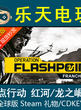 STEAM正版闪点行动Operation Flashpoint红河龙之崛起激活码CDKey