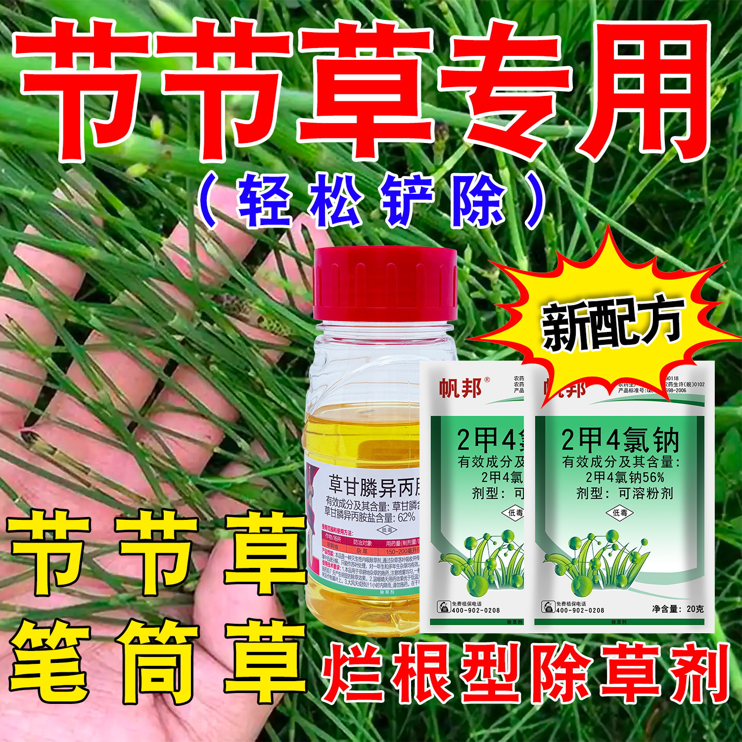 节节草除草剂烂根专杀笔管草正品图片