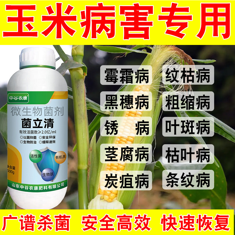 玉米病全治药叶面肥防治大斑病叶斑病叶片枯焦叶脉病斑微生物菌剂