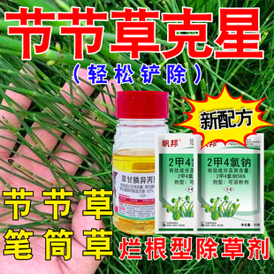节节草除草剂烂根专杀笔管草专用除草剂助剂节骨草笔杆草死根特效