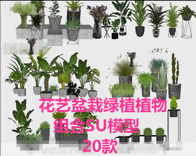 SU草图大师北欧花艺盆栽吊兰多肉绿植物摆件组合花钵景观SU模型