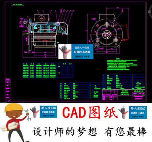 CAD191装配零件图纸 Y2 80 FF165三相异步电动机系列CAD图纸全套
