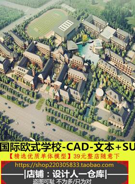 欧式徐州国际公建学校校园规划设计建设中小学带CAD文本和SU模型