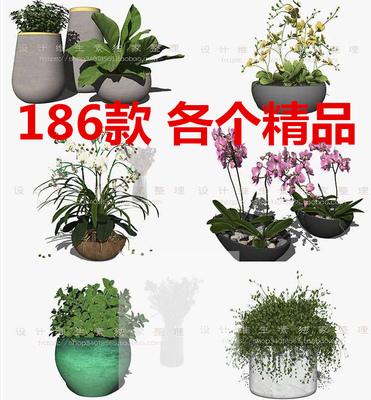 SU模型盆栽绿植物花卉松树盆景室内吊兰多肉装饰摆件草图大师组件