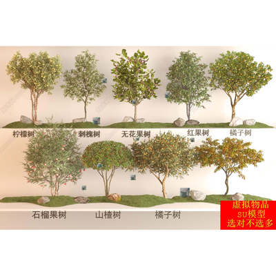 SU模型 柠檬树刺槐树无花果树石榴树山楂树橘子树苹果树