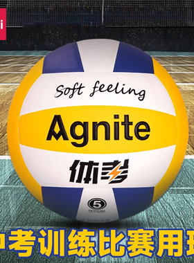 得力安格耐特F1257小学生4号排球5号训练中考体育比赛专用PU排球