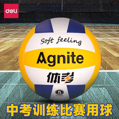 得力安格耐特学生排球