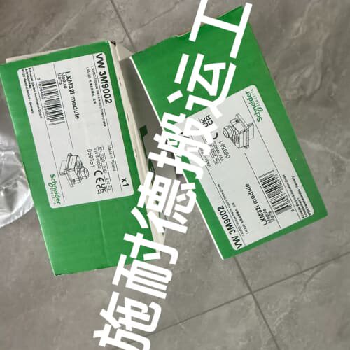 VW3M9002 VW3M9001 模块 (议价)