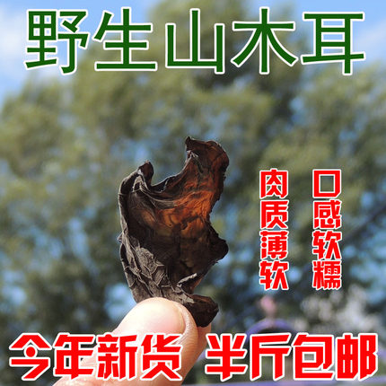 大兴安岭纯野生黑木耳干货东北特产新秋山木耳黑木耳软糯包邮