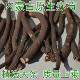 内蒙古正宗芍药根赤芍根非白芍芍药根大条原生根东北