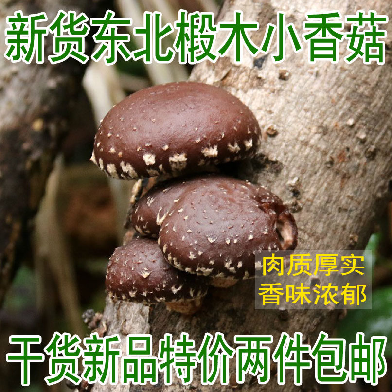 东北大兴安岭香菇干货250g 短脚香菇 金钱菇蘑菇野生2件可包邮在类目 粮油米面/南北干货/调味品, 南北干货/肉类干货, 干货/土特产, 香菇类中 - 来自Buy2taobao.com提供专业的淘宝代购服务