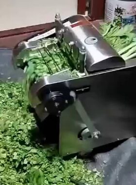 叶子菜切段梅干菜切丝养殖鸡鸭苗