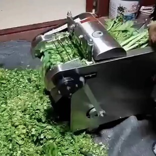 家用商用切菜机加工雪里红梅干菜切丝切段机切酸菜驼鸟鸭苗切草机