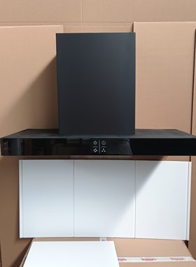 油烟机模型/直饮机咖啡机面板 一比一尺寸 壁挂洗衣机模型