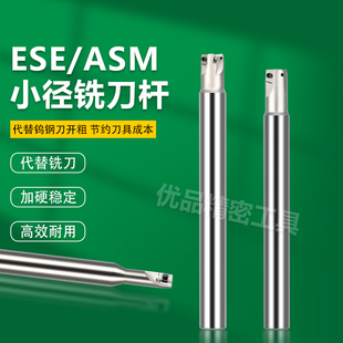 ESE/ASM小径铣刀杆数控加工中心抗震加硬双刃立铣刀清角直角刀杆