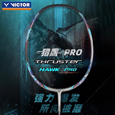 进攻型羽毛球拍进阶款小隼