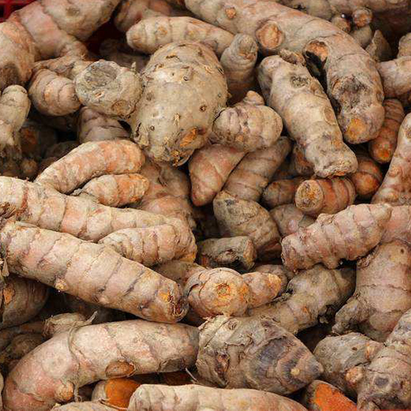 姜黄新鲜现挖野生小姜黄姜月子姜产后调节中药材红姜老姜广东500g