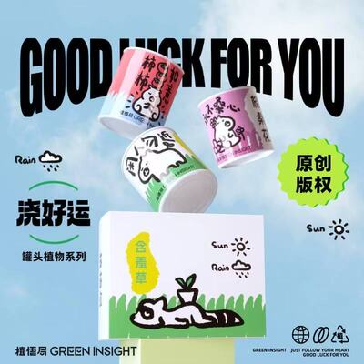 创意办公室绿植儿童种植观察礼品