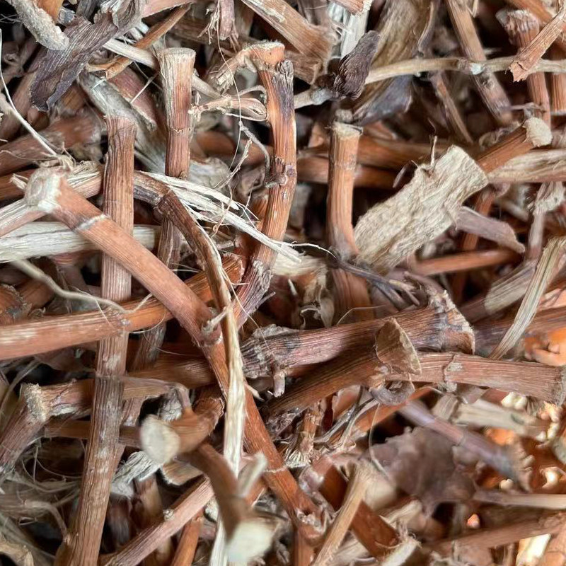 阳春砂仁根干货农家生晒煲汤料沙仁藤条精选春沙仁根茎阳江包邮