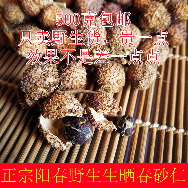 正宗阳春春砂仁500g包邮干果特产野地生中药药用春沙仁养某胃生晒