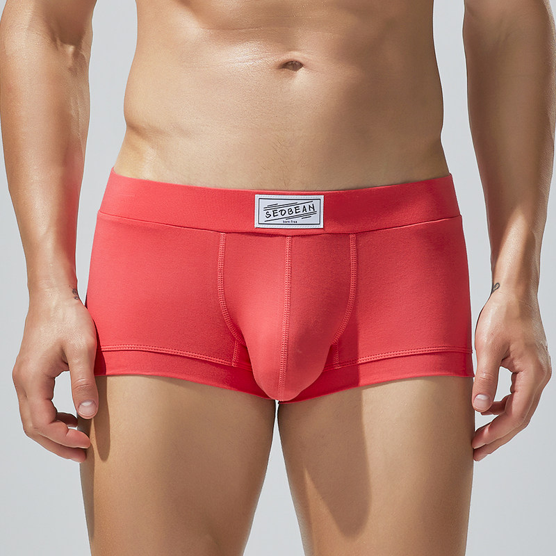 红内裤男款本命年男士红色短裤男生2026马年新款低腰纯棉四角裤头,女士内衣/男士内衣/家居服,男平角内裤,淘宝优惠券,粉丝福利购,淘宝优惠卷