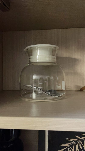 日本iwaki怡万家进口泡酒瓶
