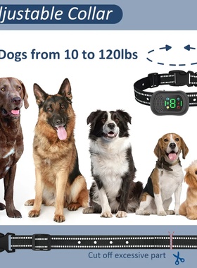 Dog Training Collar - 6500FT with Remote for Small Medium L