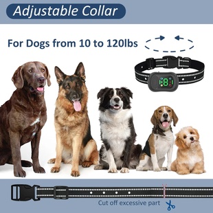 6500FT with Medium Training Small Collar for Dog Remote