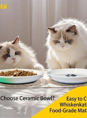 Oitabi 3PCS No Spill Cat Bowls Sets, Cat Food Bowl, Anti Wh