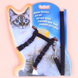dog leash shaped firm going Cat for special out